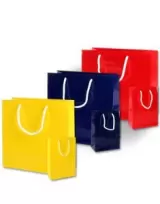 Pungă promoțională de hârtie Luxury — fotografia 1